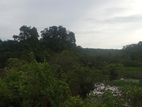 බණ්ඩාරගම වැව පාර බිම්කොටස්