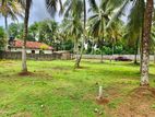 📍බණ්ඩාරගම වීදියගමින් අගනා බිම් කොටසක් විකිණීමට / HL 15773