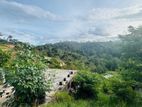 බණ්ඩාරවෙල - ඇටම්පිටිය ප්රධාන මාර්ගයට ආසන්න වටිනා ඉඩමක් විකිණීමට