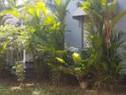 Boarding Room For Rent Girls Battaramulla