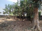 Bokundara Superb Land For Sale In Piliyandala