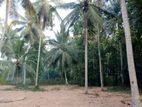 Land for Sale in Bolawatta Kammala Church Road