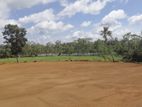 Bolgoda Bandaragama Lake Facing Land for Sale