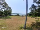 Bolgoda Lake Facing 147 Perches Land For Sale In Piliyandala .