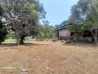 Bolgoda Lake Facing 147 Perches Land For Sale In Piliyandala .