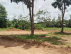 Bolgoda Lake Facing Land Close to Panadura