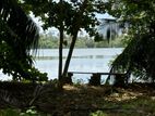 Bolgoda Lake Facing Land for Sale in Moratuwa Town