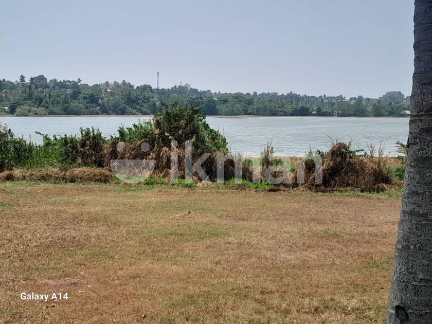 Bolgoda Lake Facing Land for Sale in Piliyandala | ikman