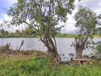 Bolgoda Lake Facing Land for Sale Piliyandala