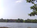Bolgoda Lake Facing Land for Sale Piliyandala