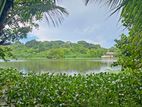 Bolgoda Lake Facing with Jack Fruit and Coconut Trees Land