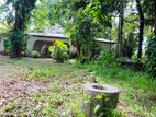 Bolgoda Lake Front Land for Sale