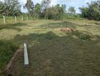 Bolgoda river front land for sale bandaragama