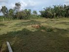 Bolgoda River Front Land for Sale