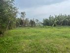 Bolgoda River Front Land for Sale