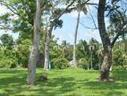 බොල්ගොඩ ගඟ පේනමානයේ