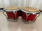 Bongo Drums (Both)