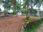 බෝමිරිය, කඩුවෙල ප්‍රදේශයේ පර්චස් 25ක පොල් ඉඩම විකිණීමට