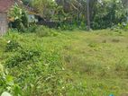 Boralasgamuwa Bokundara School Mw 15P Prime Square Bare Land For Sale