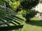 Boralesgamuwa 20 Perch Residential Land with a Livable House for Sale