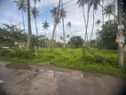 Boralesgamuwa Aberathne Mawatha 40 Perches Land For Sale