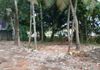 Boralesgamuwa Dehiwala Road 70 Perches Land For Rent - Ansicht 5