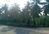 Boralesgamuwa gangarama Road 40Perches Land For Rent - Ansicht 6
