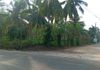 Boralesgamuwa gangarama Road 40Perches Land For Rent - Ansicht 2