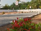 Boralesgamuwa Highly Residential Land for Sale Quiet Neighborhood