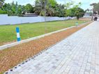 බොරලැස්ගමුවෙන් අගනා තැනිතලා ඉඩකඩක්