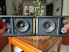 Bose 301 Av Monitor