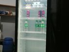 Bottle Cooler
