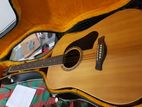 Box Guitar Ashbury Ag 500