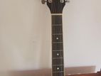 Box Guitar