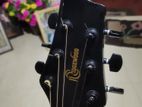 Box Guitar