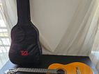 Box Guitar Yamaha C 40