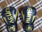 Boxing gloves 12oz (Venom)