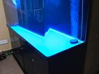 Boyu 5 Ft Aquarium