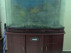 Boyu Fish Tank