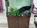 Boyu Fish Tank