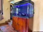 Boyu Fish Tank with Customized Mahogany Stand
