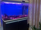 Fish Tank with Stand