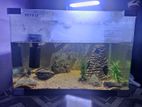 Boyu Nano Fish Tank