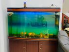 Boyu Fish Tank