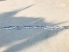 BPL Seal Waterproofing Service