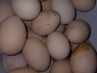 Brahma Eggs