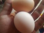 Bharma Egg