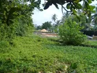 Branch Front Land for Sale Mirissa