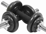 Brand New 10kg Dumbbell set / Weight -M18