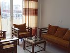 Brand New 2 Bk, Furnished Apartment for Rent Colombo 06